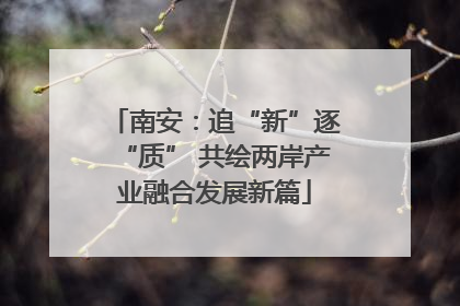 南安：追“新”逐“质” 共绘两岸产业融合发展新篇