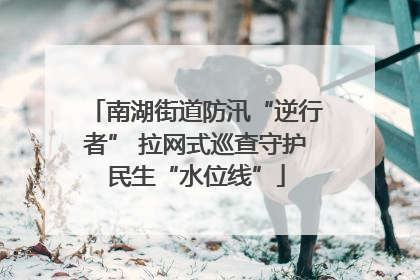 南湖街道防汛“逆行者” 拉网式巡查守护民生“水位线”
