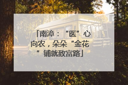 南漳：“医”心向农，朵朵“金花”铺就致富路