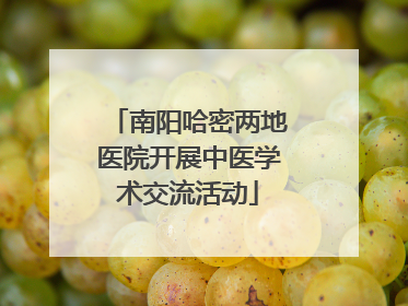 南阳哈密两地医院开展中医学术交流活动