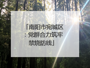 南阳市宛城区：党群合力筑牢禁烧防线