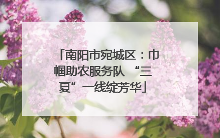 南阳市宛城区：巾帼助农服务队 “三夏”一线绽芳华