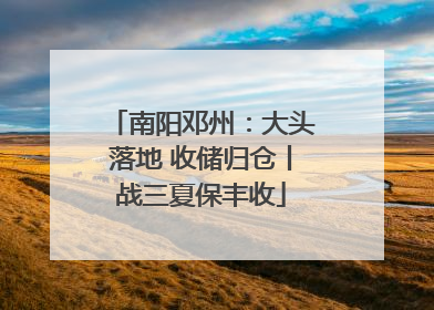 南阳邓州：大头落地 收储归仓丨战三夏保丰收