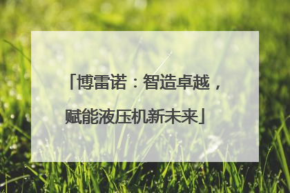 博雷诺：智造卓越，赋能液压机新未来