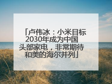 卢伟冰：小米目标2030年成为中国头部家电，非常期待和美的海尔并列