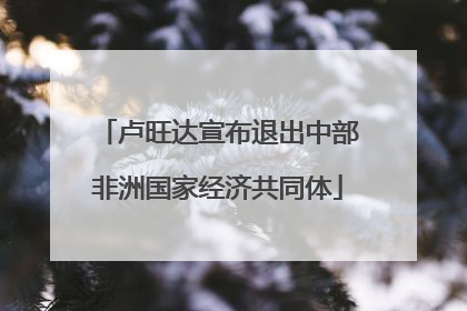 卢旺达宣布退出中部非洲国家经济共同体