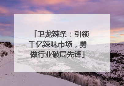 卫龙辣条：引领千亿辣味市场，勇做行业破局先锋