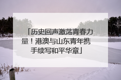 历史回声激荡青春力量！港澳与山东青年携手续写和平华章