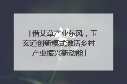借艾草产业东风，玉玄道创新模式激活乡村产业振兴新动能