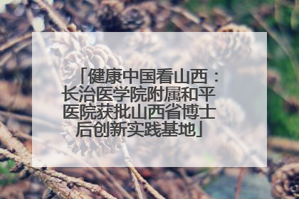 健康中国看山西：长治医学院附属和平医院获批山西省博士后创新实践基地
