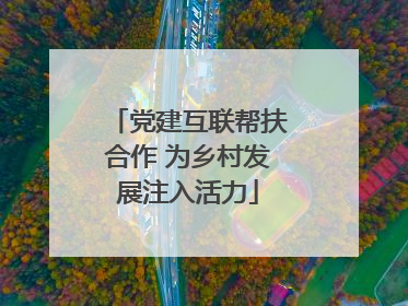 党建互联帮扶合作 为乡村发展注入活力