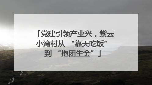 党建引领产业兴，紫云小湾村从 “靠天吃饭” 到 “抱团生金”