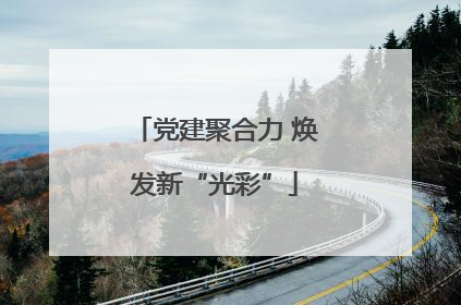 党建聚合力 焕发新“光彩”