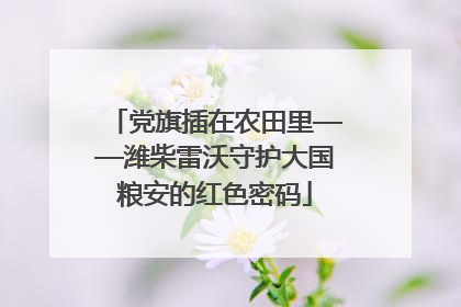 党旗插在农田里——潍柴雷沃守护大国粮安的红色密码