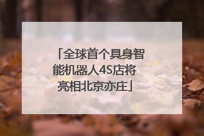 全球首个具身智能机器人4S店将亮相北京亦庄