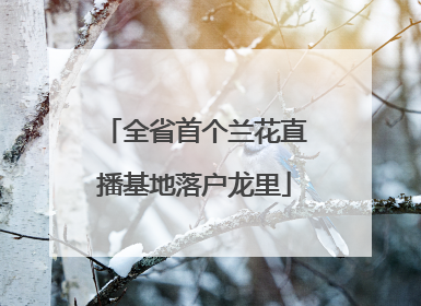 全省首个兰花直播基地落户龙里