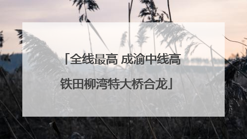 全线最高 成渝中线高铁田柳湾特大桥合龙