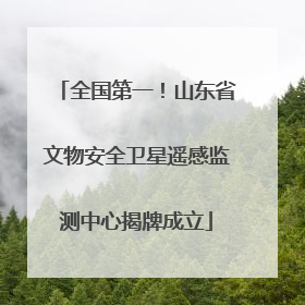 全国第一！山东省文物安全卫星遥感监测中心揭牌成立