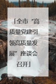 全市“高质量党建引领高质量发展”座谈会召开