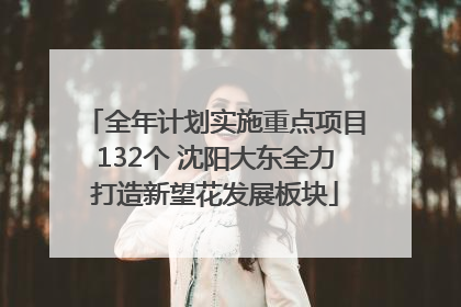 全年计划实施重点项目132个 沈阳大东全力打造新望花发展板块