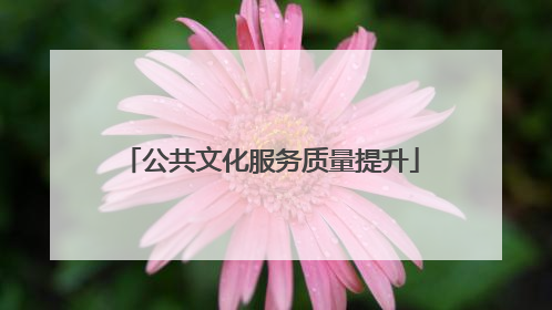 公共文化服务质量提升