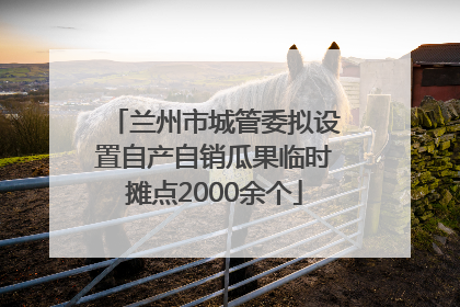 兰州市城管委拟设置自产自销瓜果临时摊点2000余个