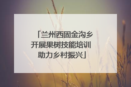 兰州西固金沟乡开展果树技能培训 助力乡村振兴