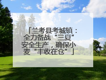 兰考县考城镇：全力备战“三夏”安全生产，确保小麦“丰收在仓”