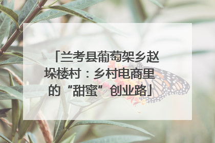 兰考县葡萄架乡赵垛楼村：乡村电商里的“甜蜜”创业路