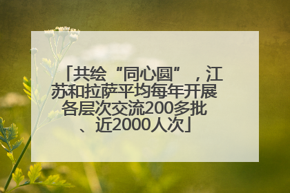 共绘“同心圆”，江苏和拉萨平均每年开展各层次交流200多批、近2000人次