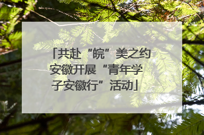 共赴“皖”美之约 安徽开展“青年学子安徽行”活动