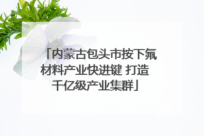 内蒙古包头市按下氟材料产业快进键 打造千亿级产业集群