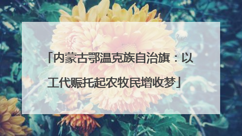 内蒙古鄂温克族自治旗：以工代赈托起农牧民增收梦