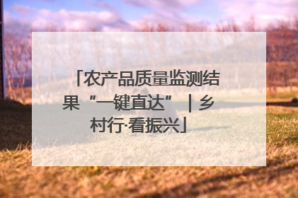 农产品质量监测结果“一键直达”｜乡村行·看振兴