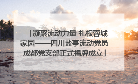 凝聚流动力量 扎根蓉城家园——四川盐亭流动党员成都党支部正式揭牌成立