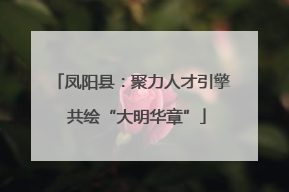 凤阳县：聚力人才引擎 共绘“大明华章”
