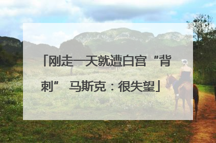 刚走一天就遭白宫“背刺” 马斯克：很失望
