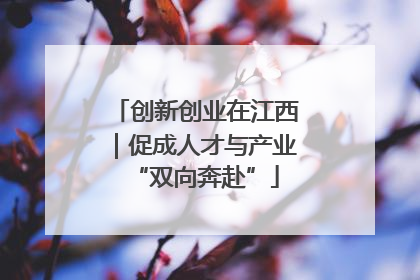 创新创业在江西｜促成人才与产业“双向奔赴”