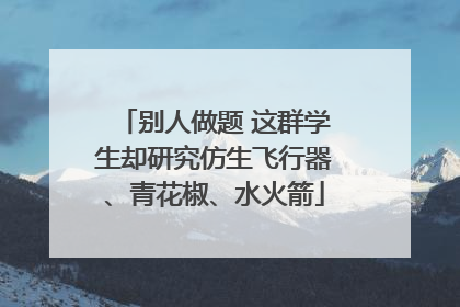 别人做题 这群学生却研究仿生飞行器、青花椒、水火箭