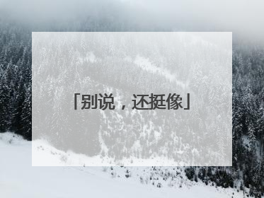 别说，还挺像