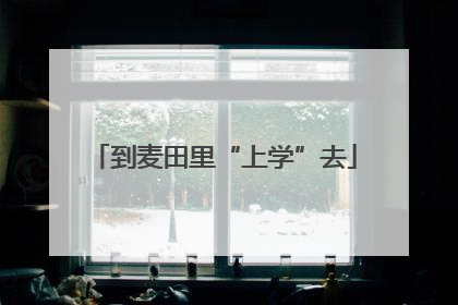 到麦田里“上学”去