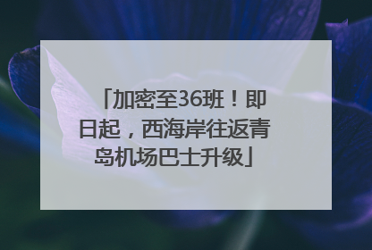加密至36班！即日起，西海岸往返青岛机场巴士升级