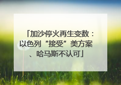加沙停火再生变数：以色列“接受”美方案、哈马斯不认可