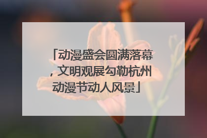 动漫盛会圆满落幕，文明观展勾勒杭州动漫节动人风景