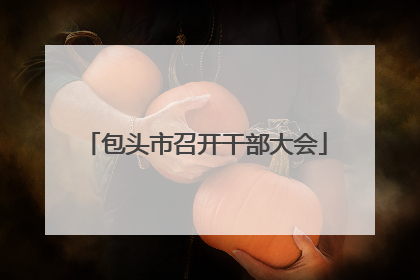包头市召开干部大会