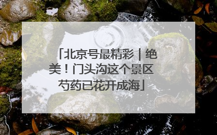 北京号最精彩｜绝美！门头沟这个景区芍药已花开成海