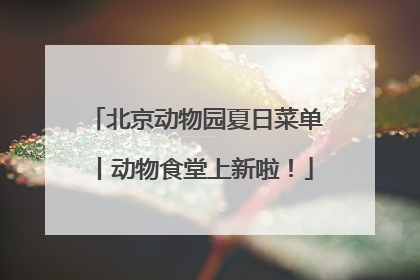 北京动物园夏日菜单丨动物食堂上新啦！