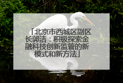 北京市西城区副区长郭洁：积极探索金融科技创新监管的新模式和新方法