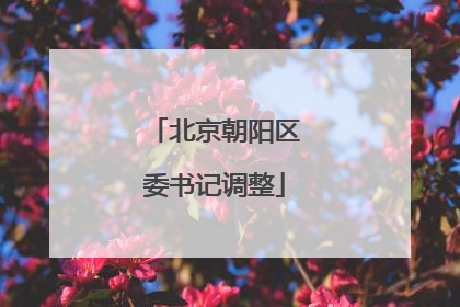 北京朝阳区委书记调整