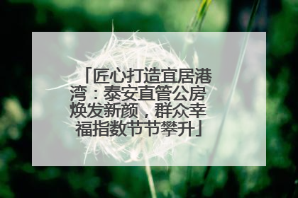匠心打造宜居港湾：泰安直管公房焕发新颜，群众幸福指数节节攀升